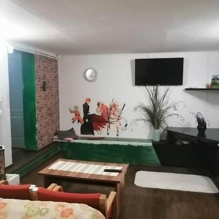 Moss'S Cave Apartment Timisoara Ngoại thất bức ảnh