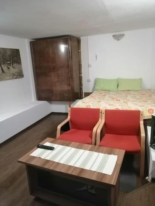 Moss'S Cave Apartment Timisoara Ngoại thất bức ảnh