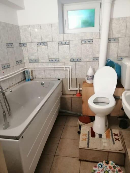 Moss'S Cave Apartment Timisoara Ngoại thất bức ảnh